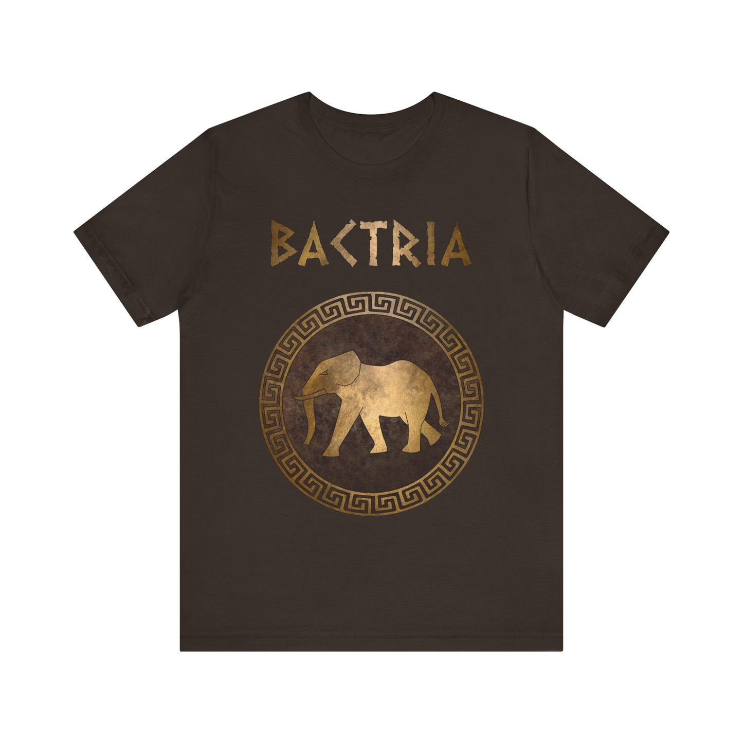 Bactria Indo-Greek Kingdom T-Shirt