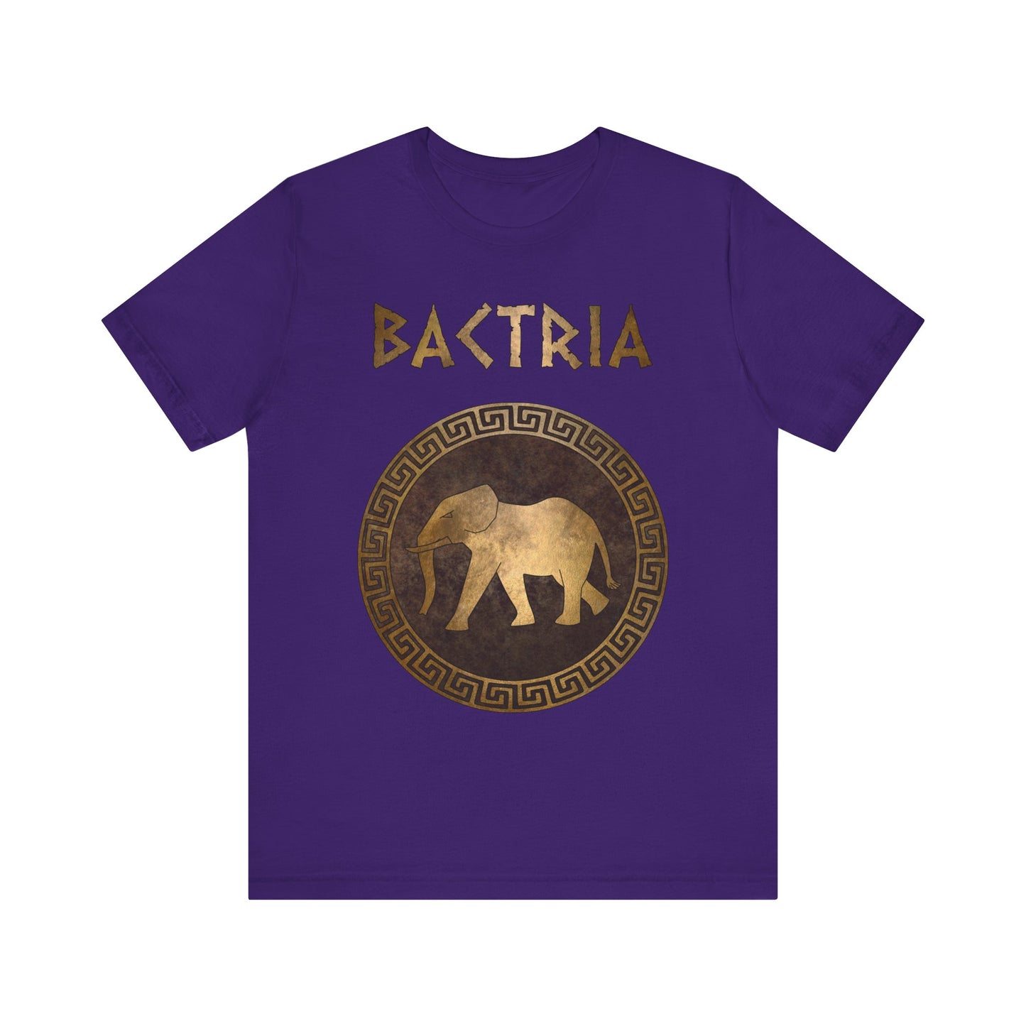 Bactria Indo-Greek Kingdom T-Shirt