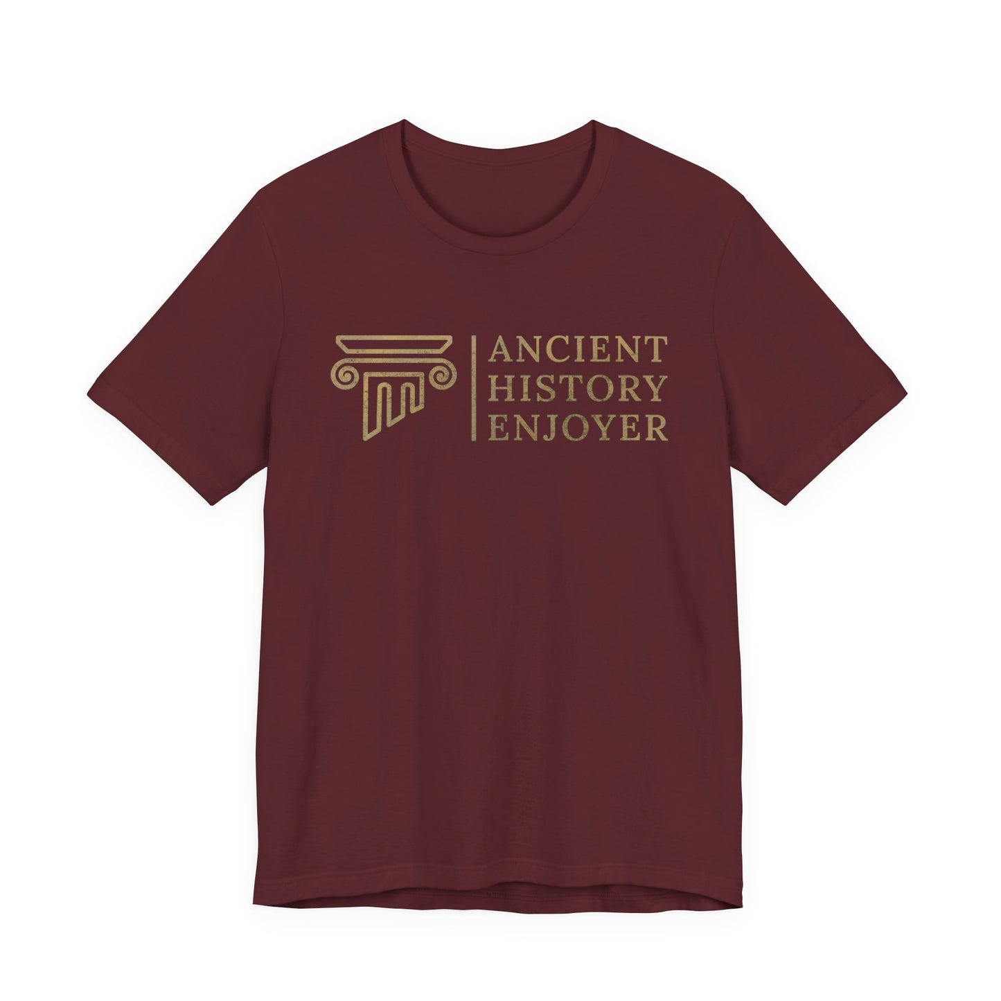 Ancient History Enjoyer T-Shirt