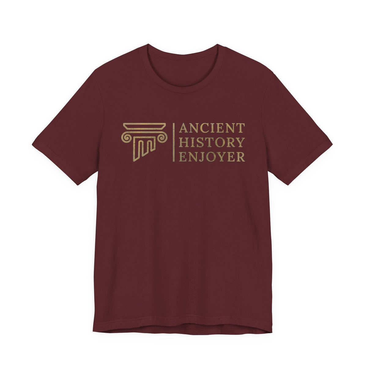 Ancient History Enjoyer T-Shirt
