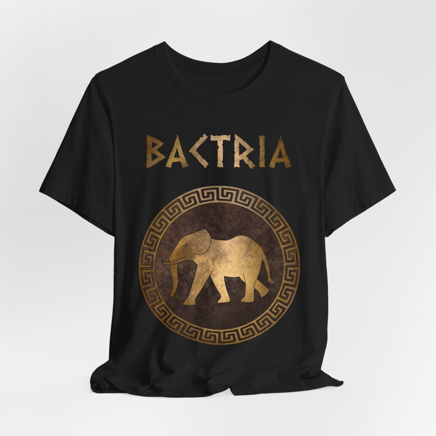 Bactria Indo-Greek Kingdom T-Shirt