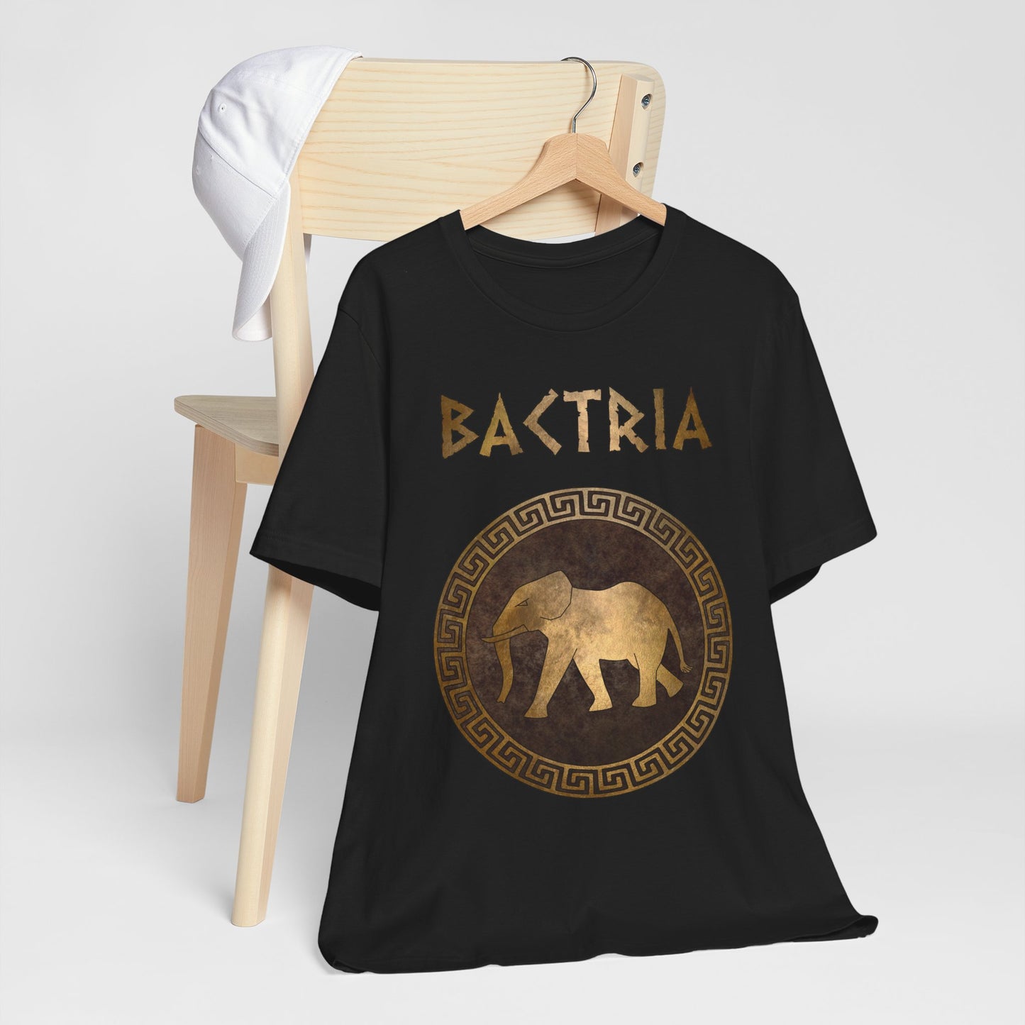 Bactria Indo-Greek Kingdom T-Shirt