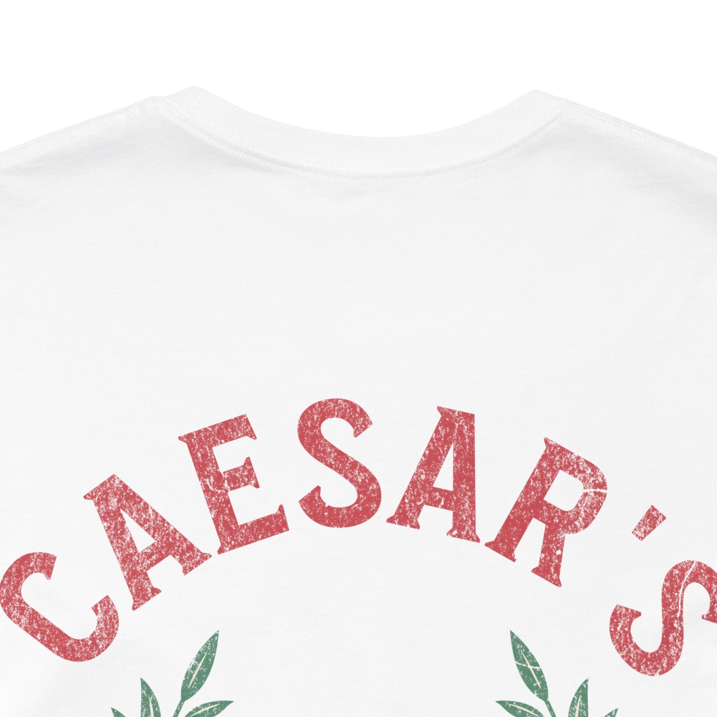 13th Legion - Caesar's Legio XIII Gemina Roman Legion Double Sided T-Shirt