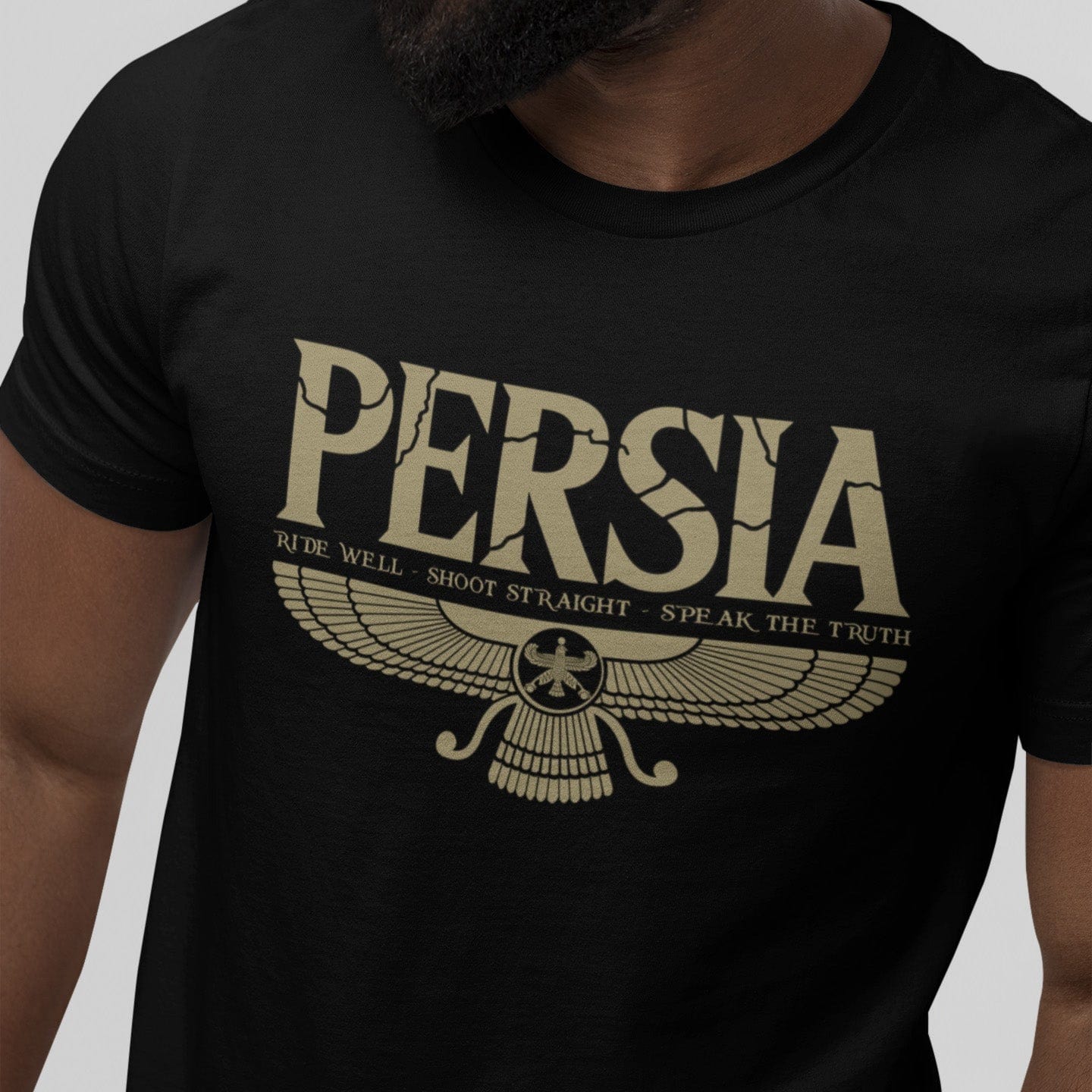 Black / S Achaemenid Persia Virtues T-Shirt