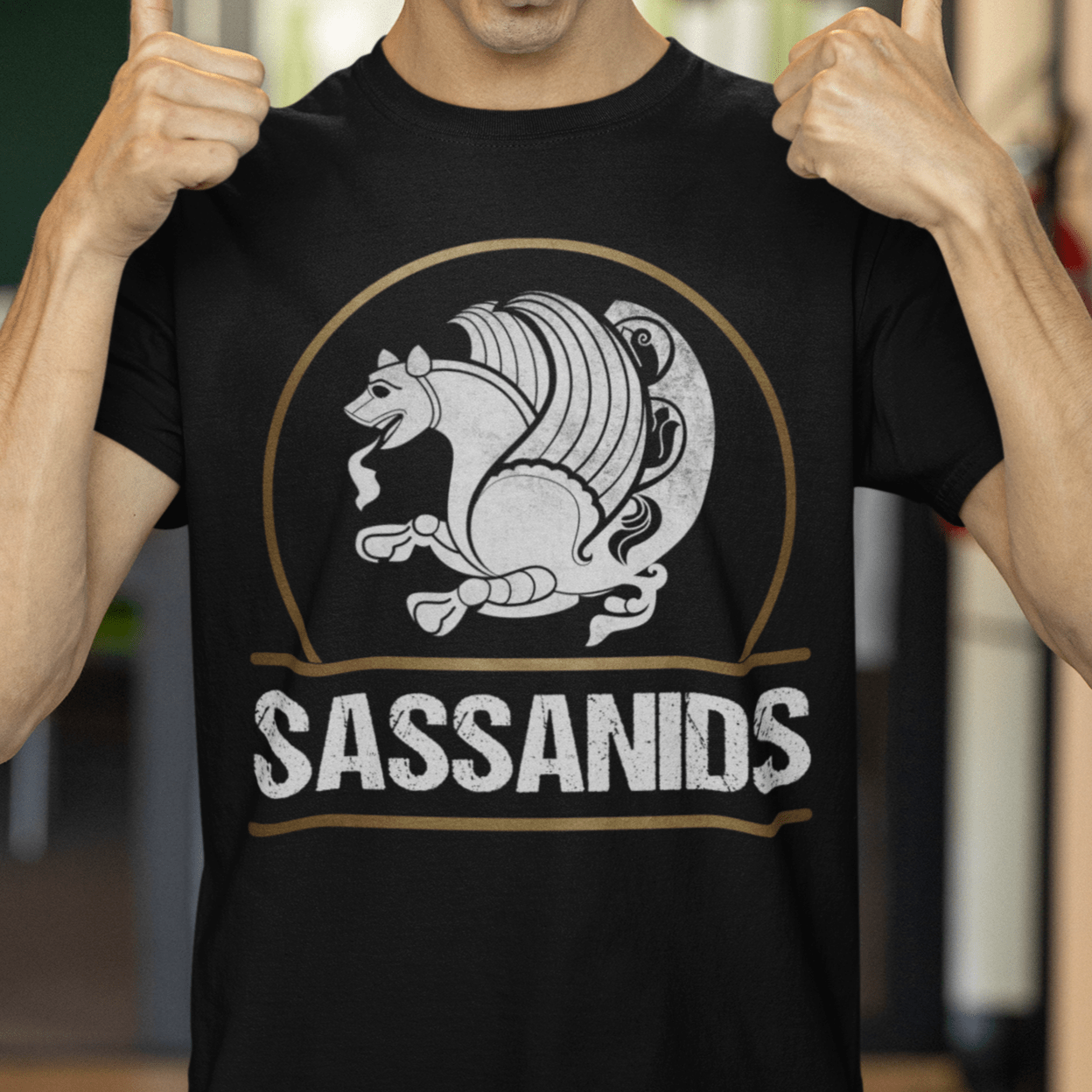 Black / S Sassanids - Sasanian Dynasty of Persia - Sassanid Empire T-shirt