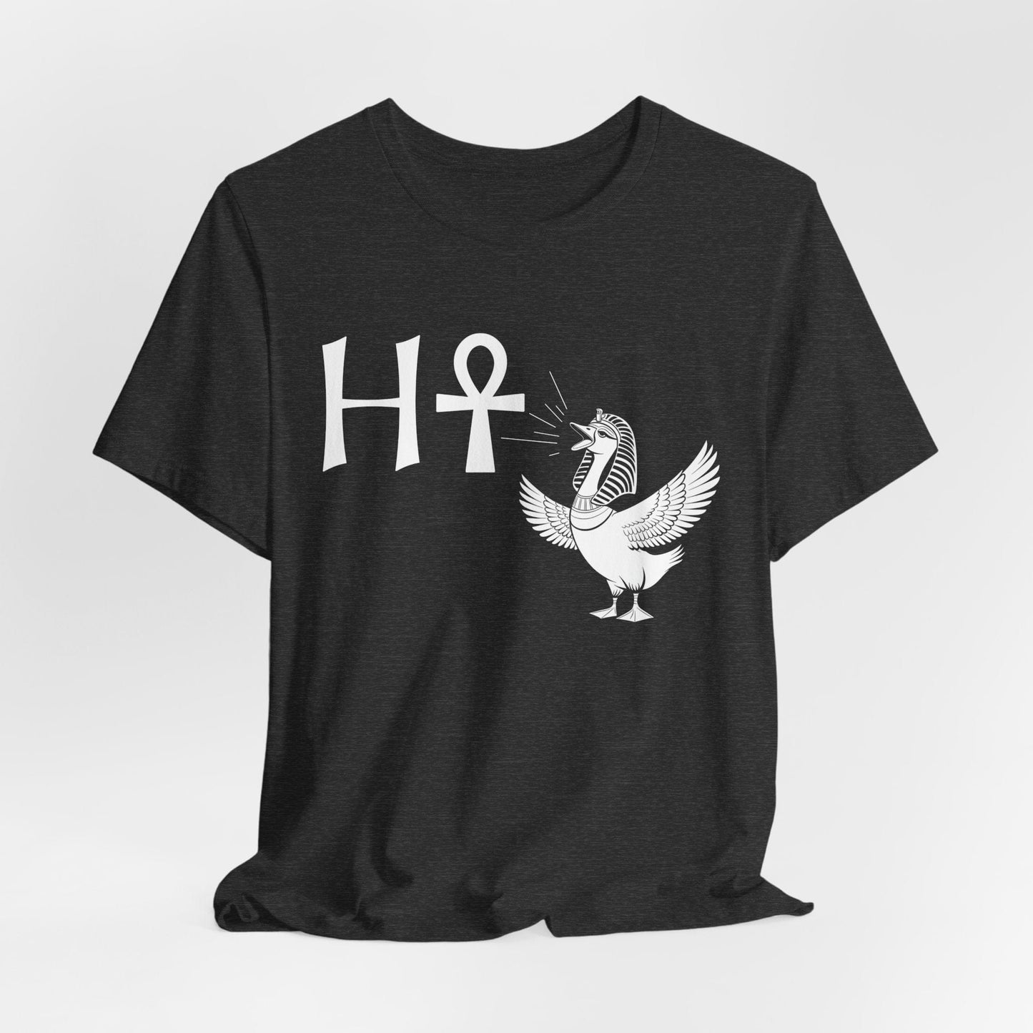 Dark Grey Heather / S Egyptian Goose H-Ankh Meme T-Shirt