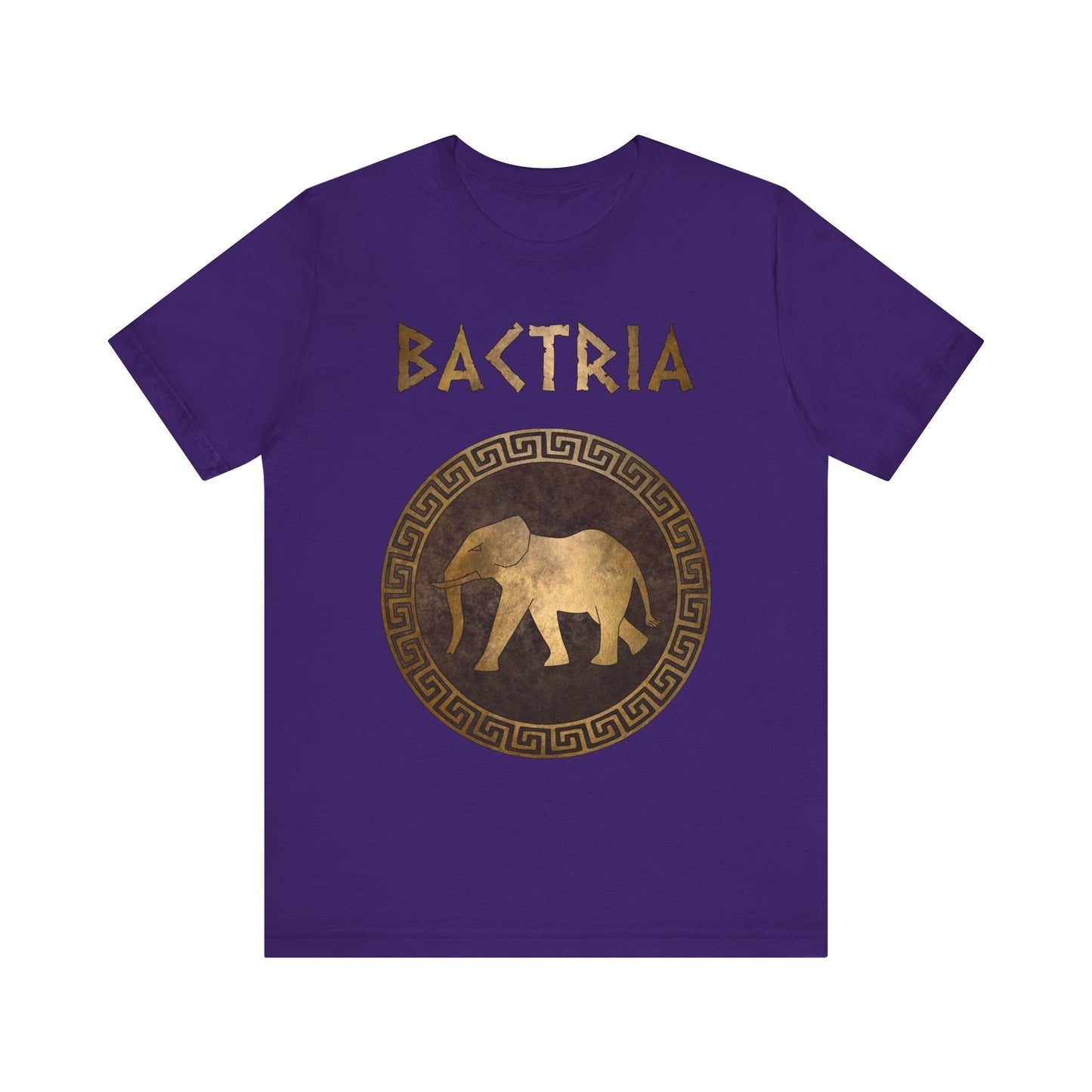 Team Purple / S Bactria Indo-Greek Kingdom T-Shirt