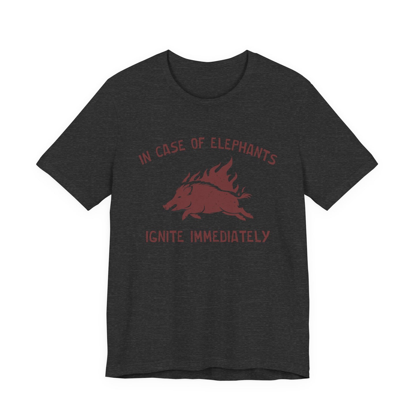 Flaming Pigs T-Shirt