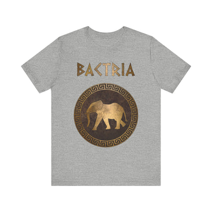 Bactria Indo-Greek Kingdom T-Shirt