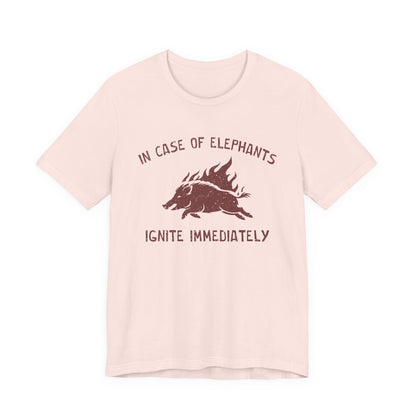 Flaming Pigs T-Shirt