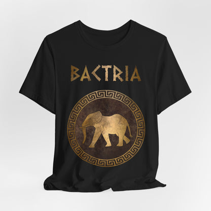 Bactria Indo-Greek Kingdom T-Shirt
