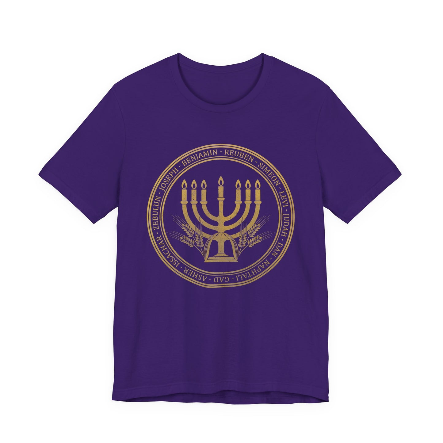 12 Tribes of Israel - Ancient Shevatim T-Shirt