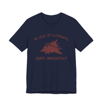 Flaming Pigs T-Shirt
