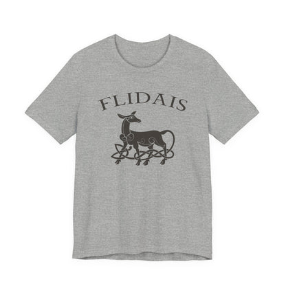 Athletic Heather / S Flidais Celtic Goddess T-Shirt