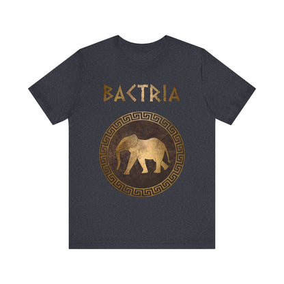 Bactria Indo-Greek Kingdom T-Shirt