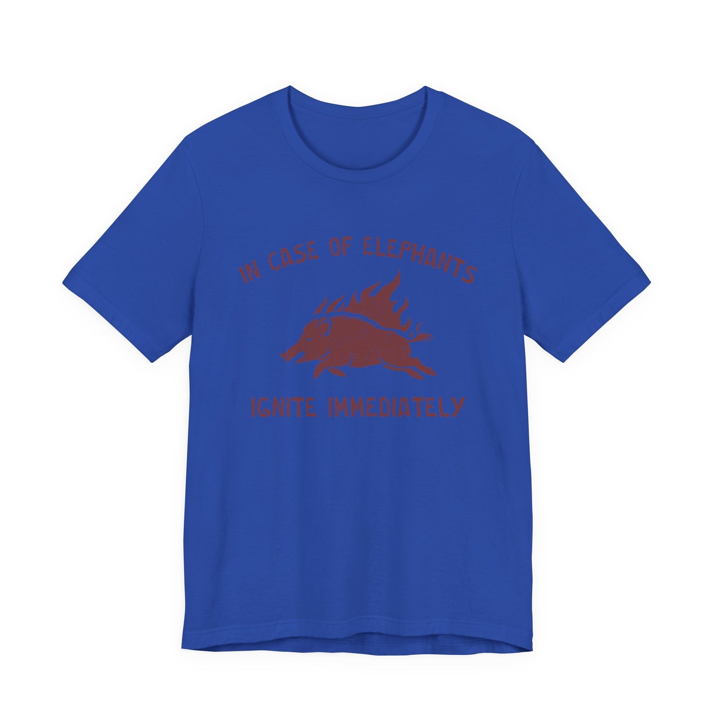 Flaming Pigs T-Shirt