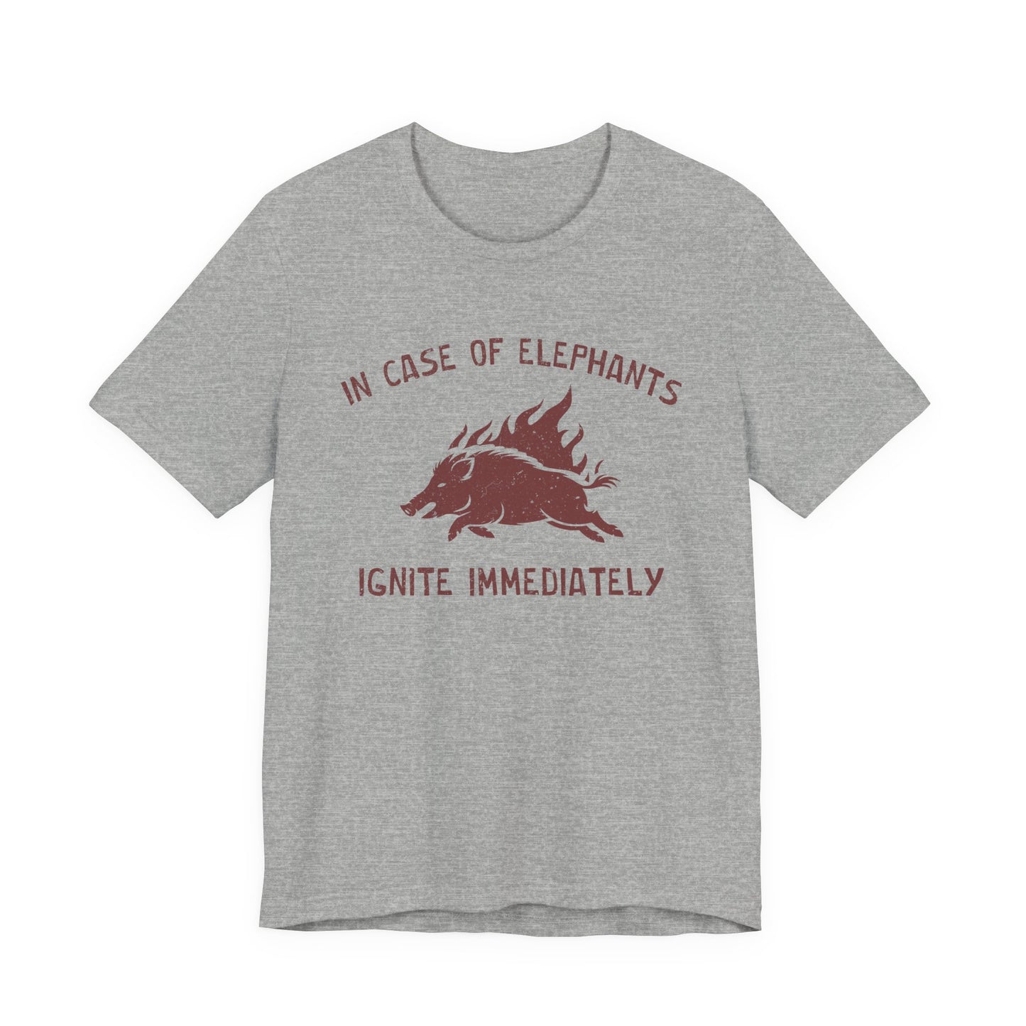 Flaming Pigs T-Shirt