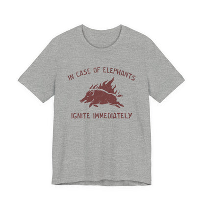 Flaming Pigs T-Shirt