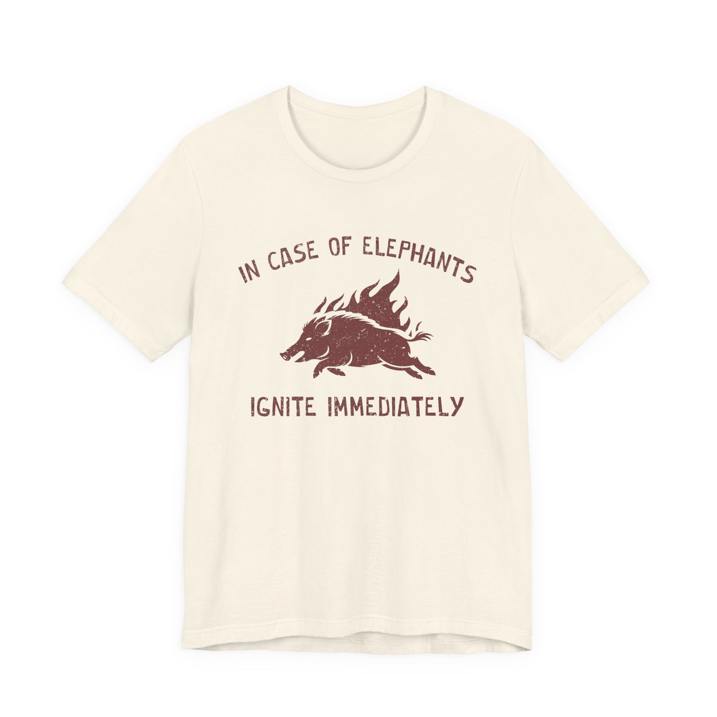 Flaming Pigs T-Shirt