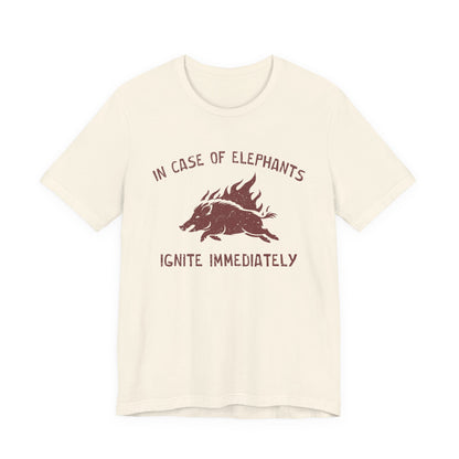 Flaming Pigs T-Shirt