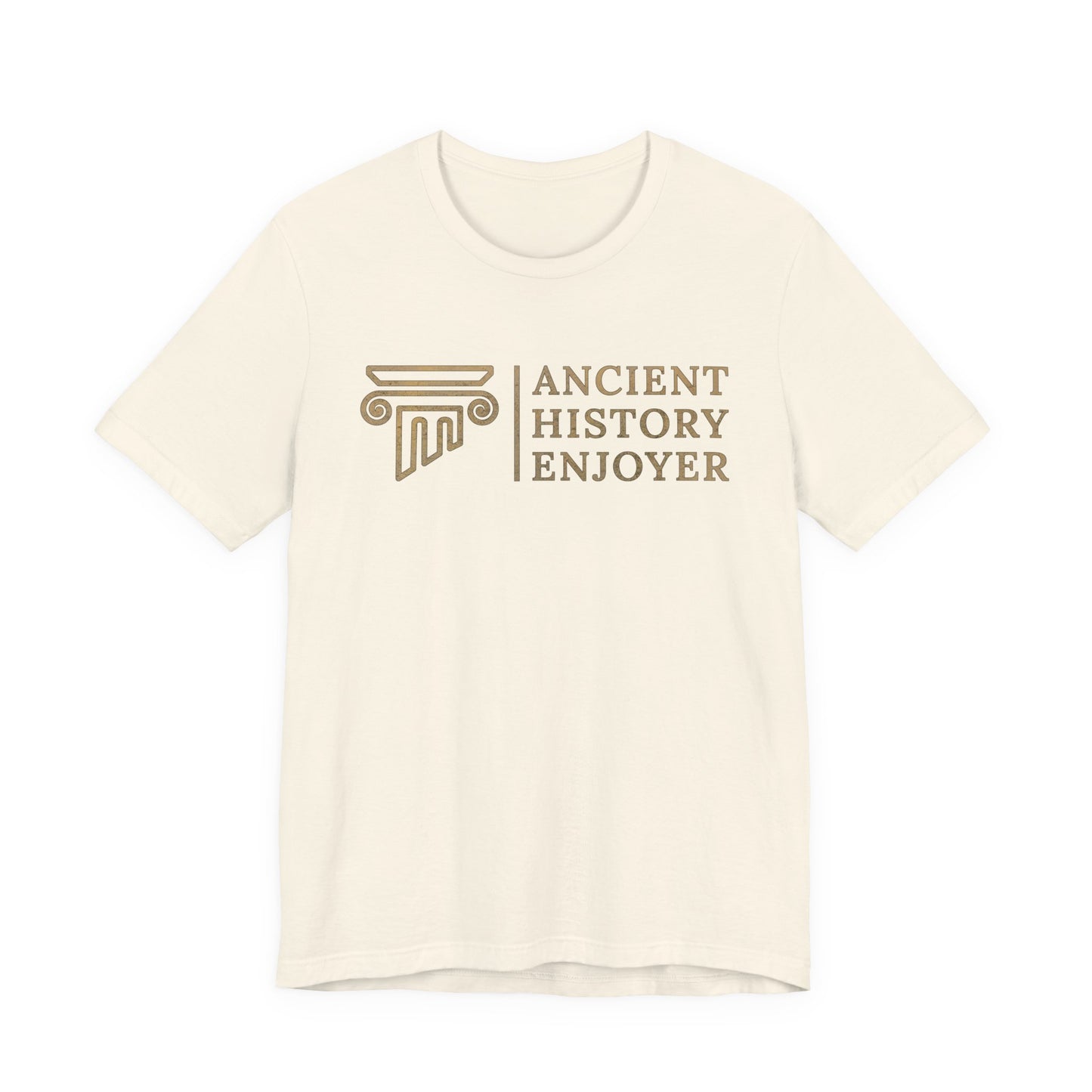 Ancient History Enjoyer T-Shirt