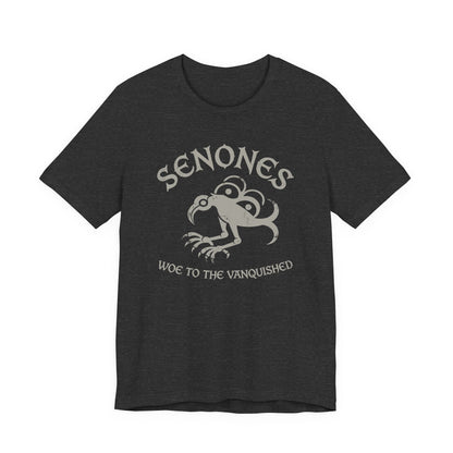 Dark Grey Heather / S Senones Gallic Tribe T-Shirt