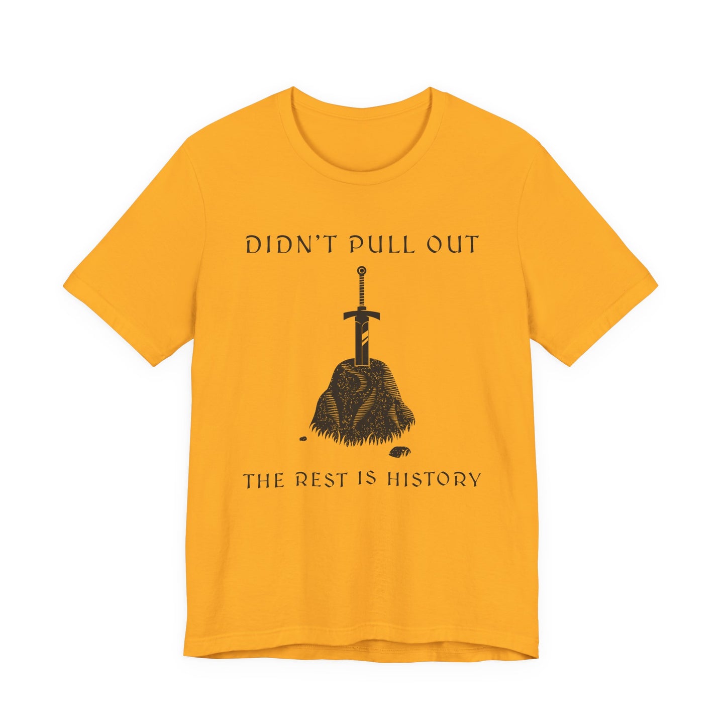 Didn't Pull Out - Excalibur T-Shirt