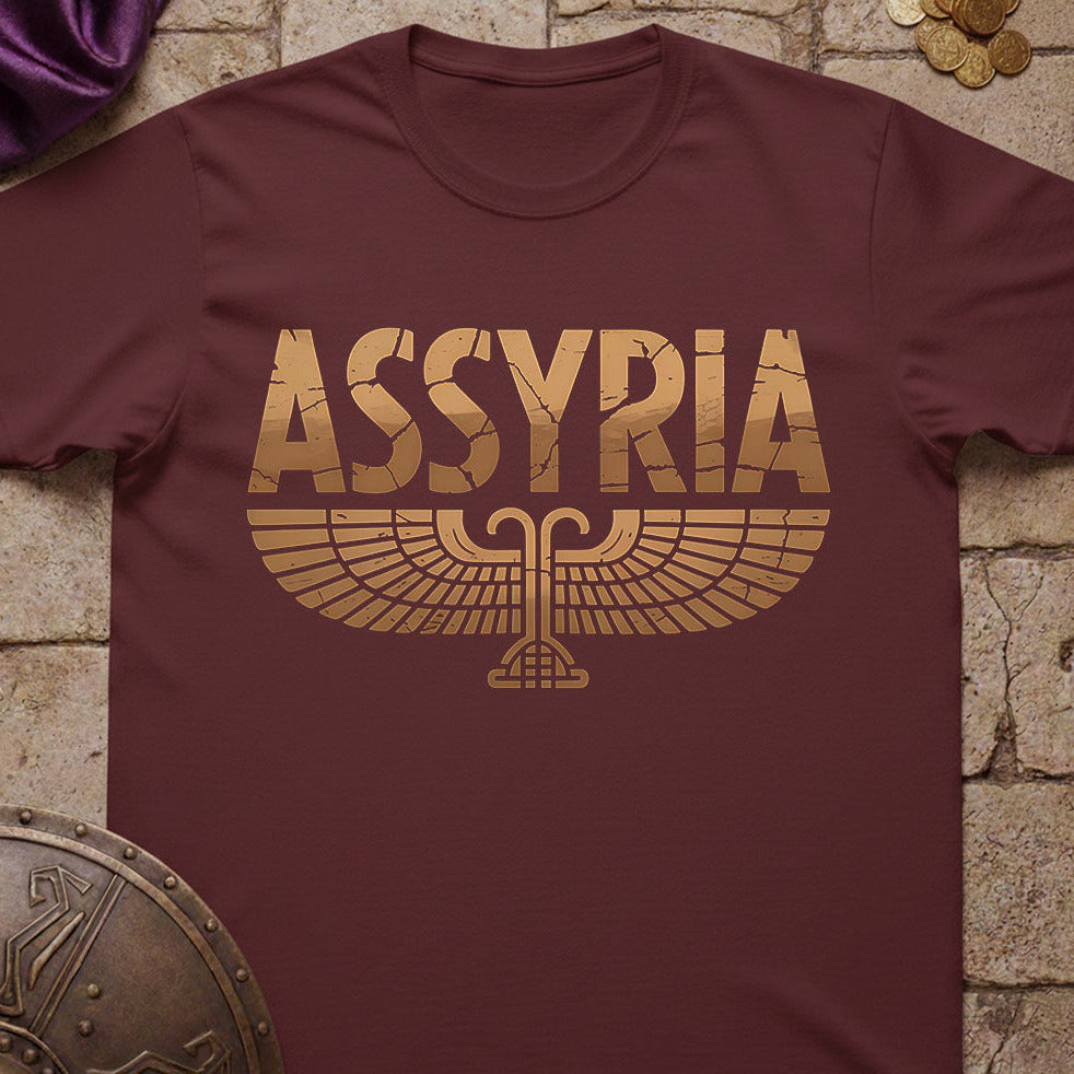 Maroon t-shirt with 'Assyria' design on a stone surface with coins and fabric.