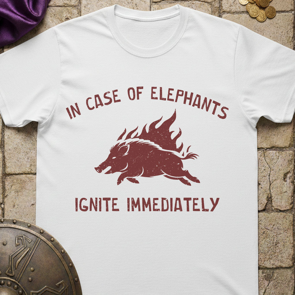 White Flaming Pigs Ancient History t-shirt with red graphic and text on a stone surface