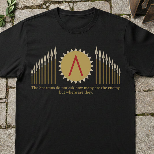 A black short-sleeve t-shirt laid flat on a stone surface, featuring a gold Spartan-themed graphic with a central red delta symbol, spear tips, and a quote printed below.