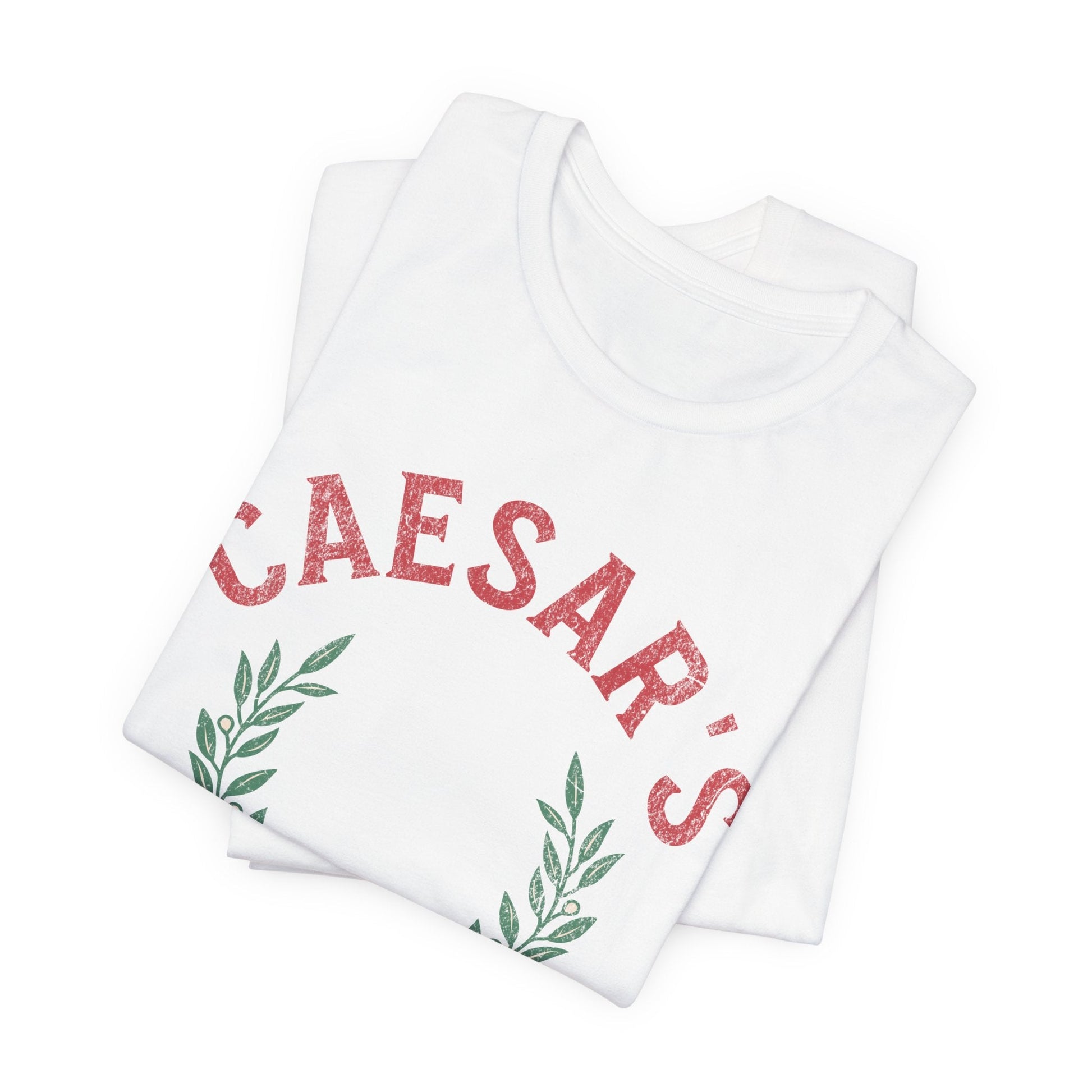 13th Legion - Caesar's Legio XIII Gemina T-Shirt