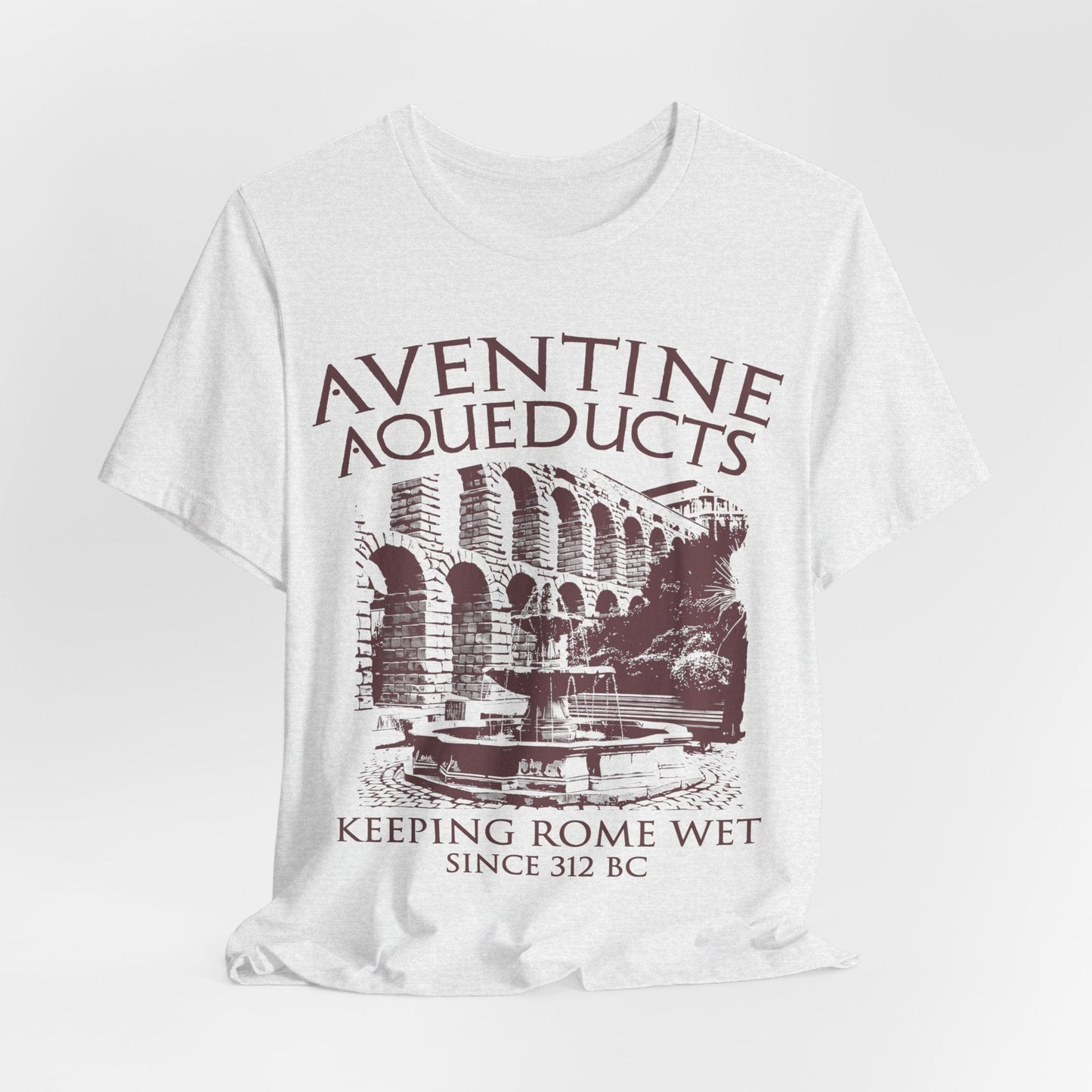 Ash / S Aventine Aqueducts - Funny Ancient Roman History T-Shirt