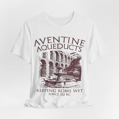 Ash / S Aventine Aqueducts - Funny Ancient Roman History T-Shirt