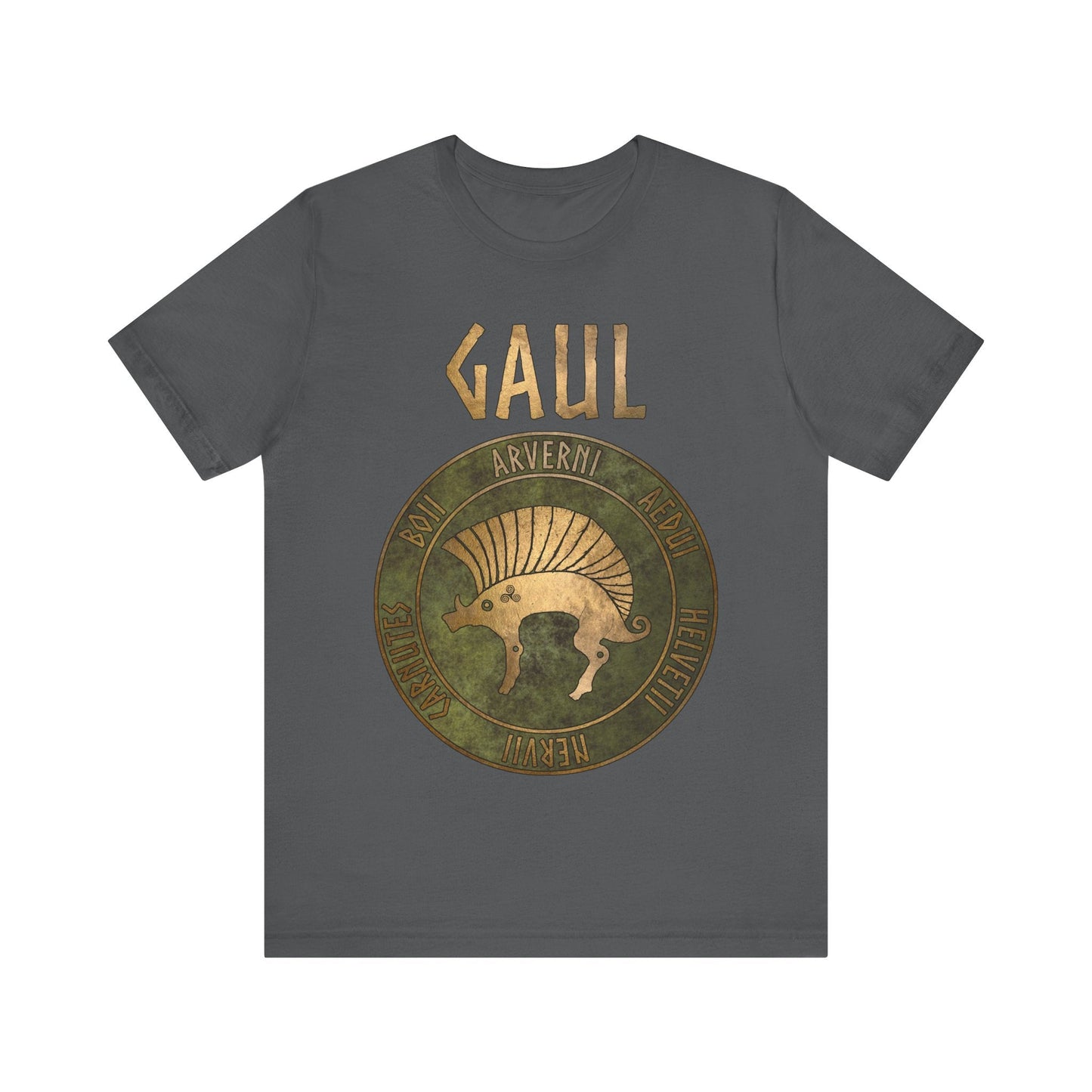 Asphalt / S Gaul Ancient Tribes of Gaul Boar Gaelic History T-shirt