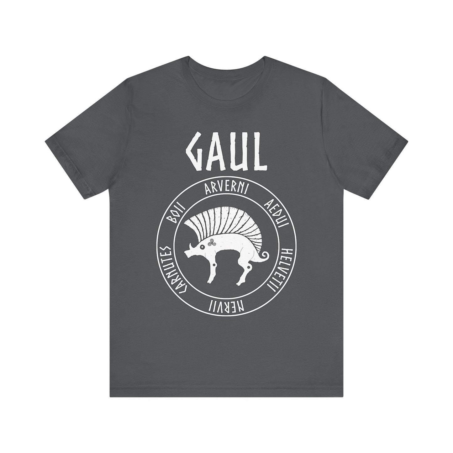 Asphalt / S Gaul Ancient Tribes of Gaul Boar T-shirt