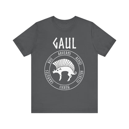 Asphalt / S Gaul Ancient Tribes of Gaul Boar T-shirt