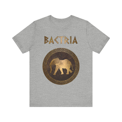 Athletic Heather / S Bactria Indo-Greek Kingdom T-Shirt