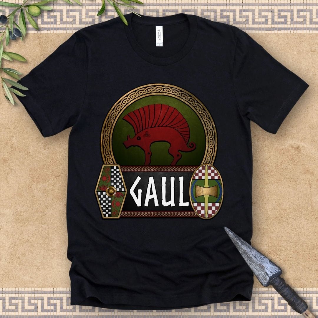 Black / 2XL Gaul Ancient Gaelic Boar - Celtic Warrior Shields - Gaelic Heritage T-shirt