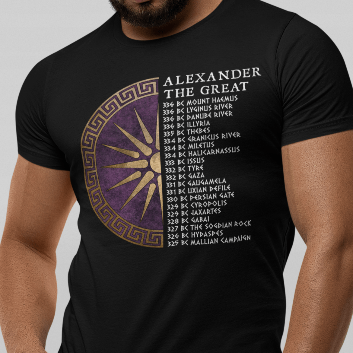Black / S Alexander the Great Battles - Ancient Macedon T-Shirt
