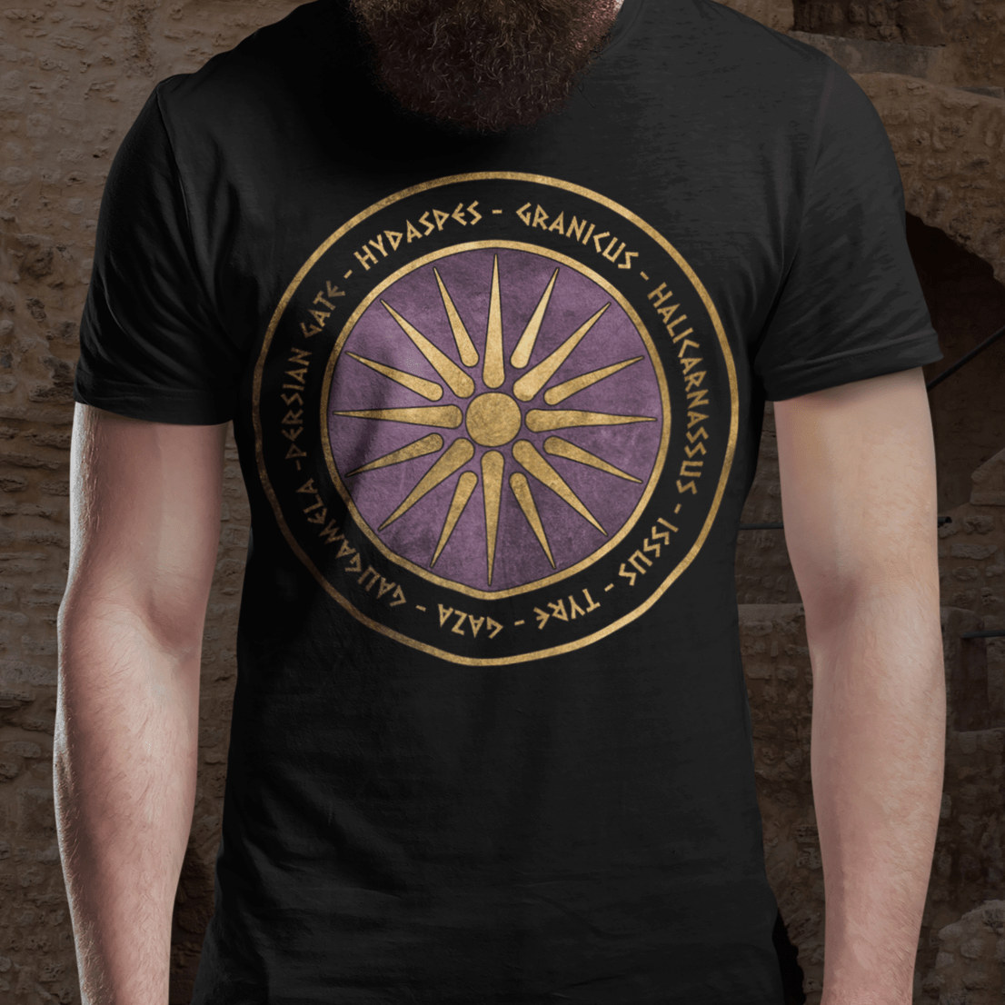 Black / S Alexander the Great Battles Macedonian Shield T-shirt