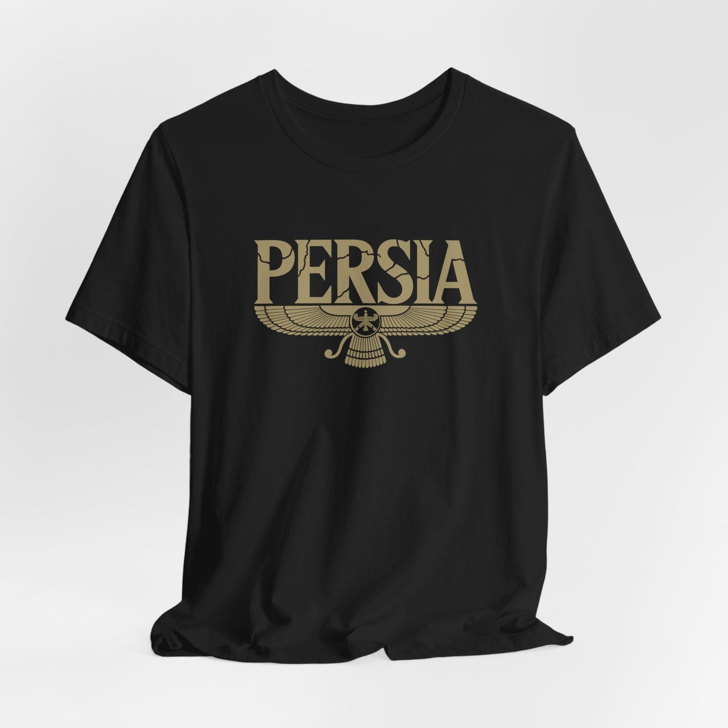 Black / S Ancient Persia T-Shirt
