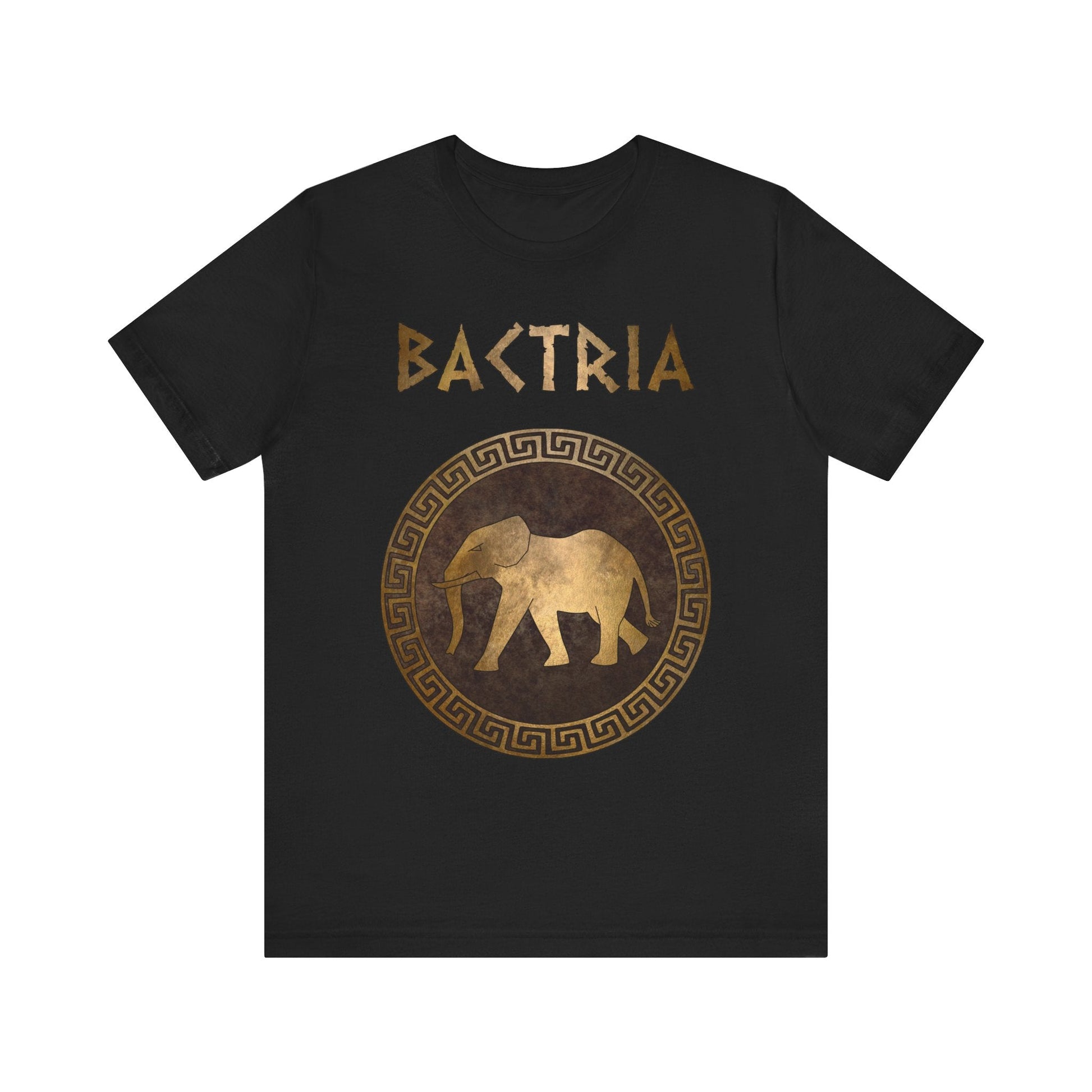 Black / S Bactria Indo-Greek Kingdom T-Shirt