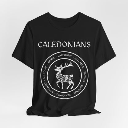 Black / S Caledonians Tribes of Ancient Scotland T-Shirt