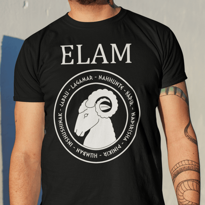Black / S Elam - Ancient Elamite Gods T-Shirt