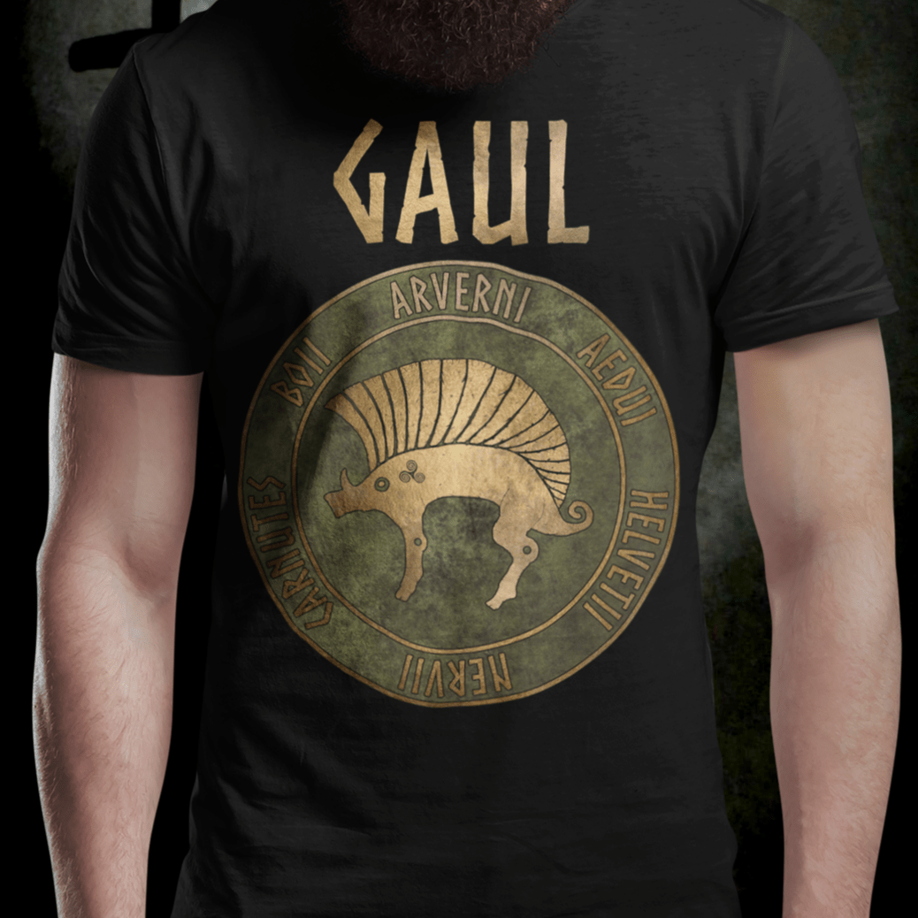 Black / S Gaul Ancient Tribes of Gaul Boar Gaelic History T-shirt