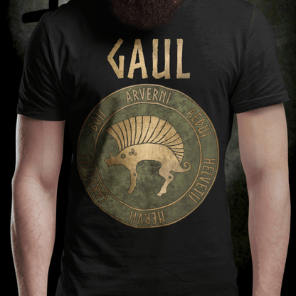 Black / S Gaul Ancient Tribes of Gaul Boar Gaelic History T-shirt