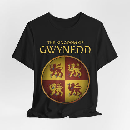 Black / S Kingdom of Gwynedd T-Shirt
