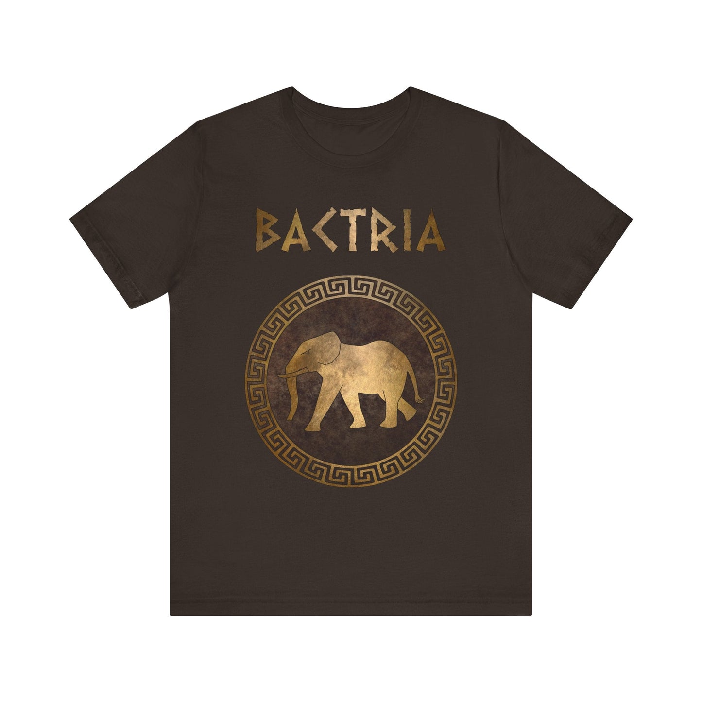Brown / S Bactria Indo-Greek Kingdom T-Shirt