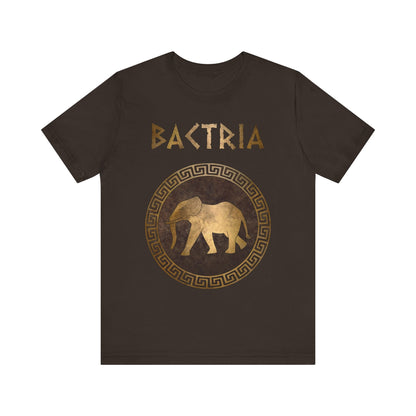Brown / S Bactria Indo-Greek Kingdom T-Shirt