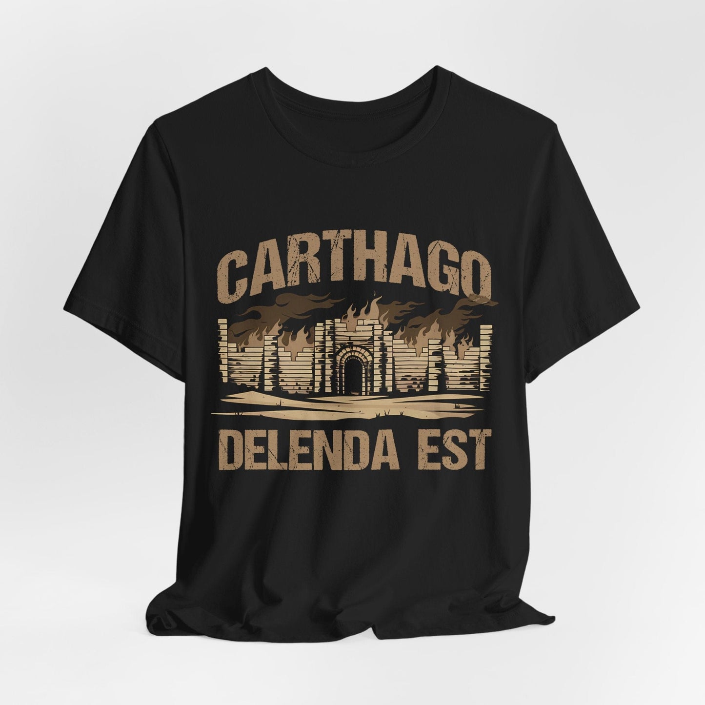 Carthago Delenda Est Shirt - Carthage Must Be Destroyed T-Shirt